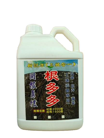 根多多